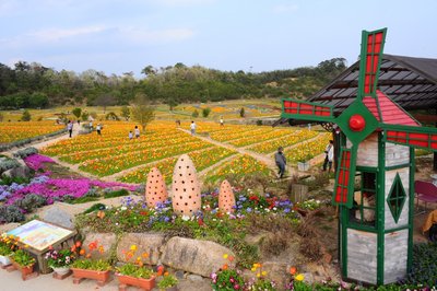 🌸 코잔 라벤더 언덕 구로세 농장 이미지 2